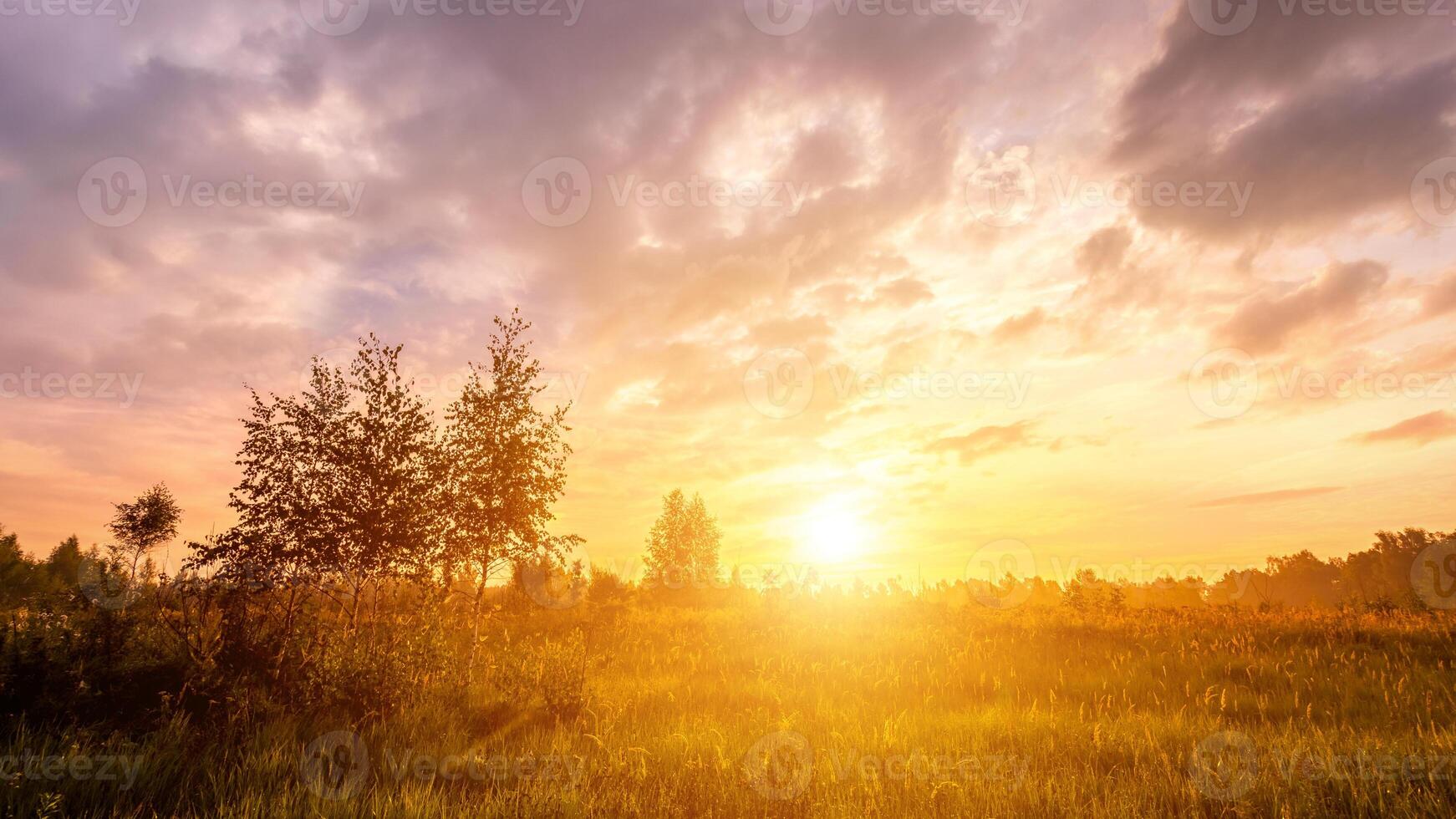 nascer do sol em uma campo coberto com selvagem flores dentro verão estação com névoa e árvores com uma nublado céu. foto