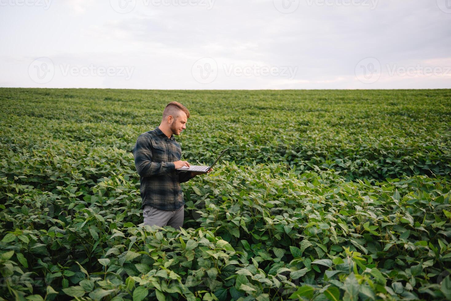 agrônomo inspecionando soja feijão cultivo crescendo dentro a Fazenda campo. agricultura Produção conceito. agronegócio conceito. agrícola engenheiro em pé dentro uma soja campo foto