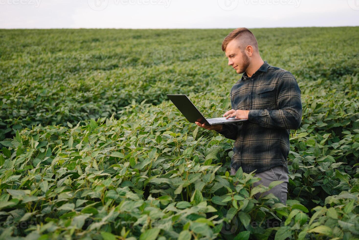 agrônomo inspecionando soja feijão cultivo crescendo dentro a Fazenda campo. agricultura Produção conceito. agronegócio conceito. agrícola engenheiro em pé dentro uma soja campo foto