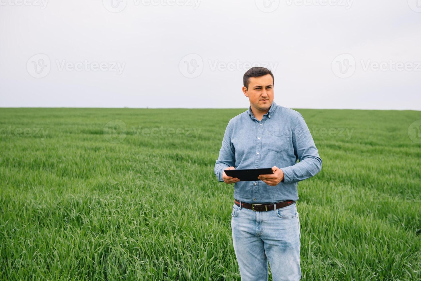 jovem agrônomo detém tábua toque almofada computador dentro verde trigo campo. agronegócio conceito. agrícola engenheiro em pé dentro uma trigo campo com uma tábua dentro verão. foto