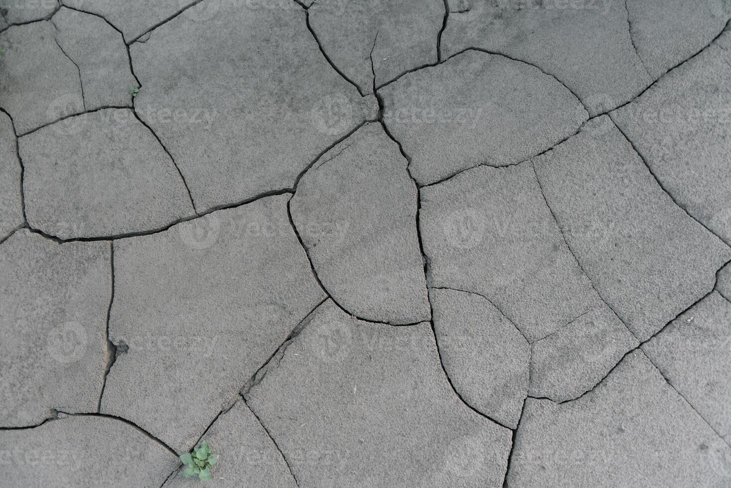 cinzento rachado terra terra a partir de seca desastre causa a partir de clima mudar. a global aquecimento e estufa efeito causa do agrícola Produção é reduzido foto