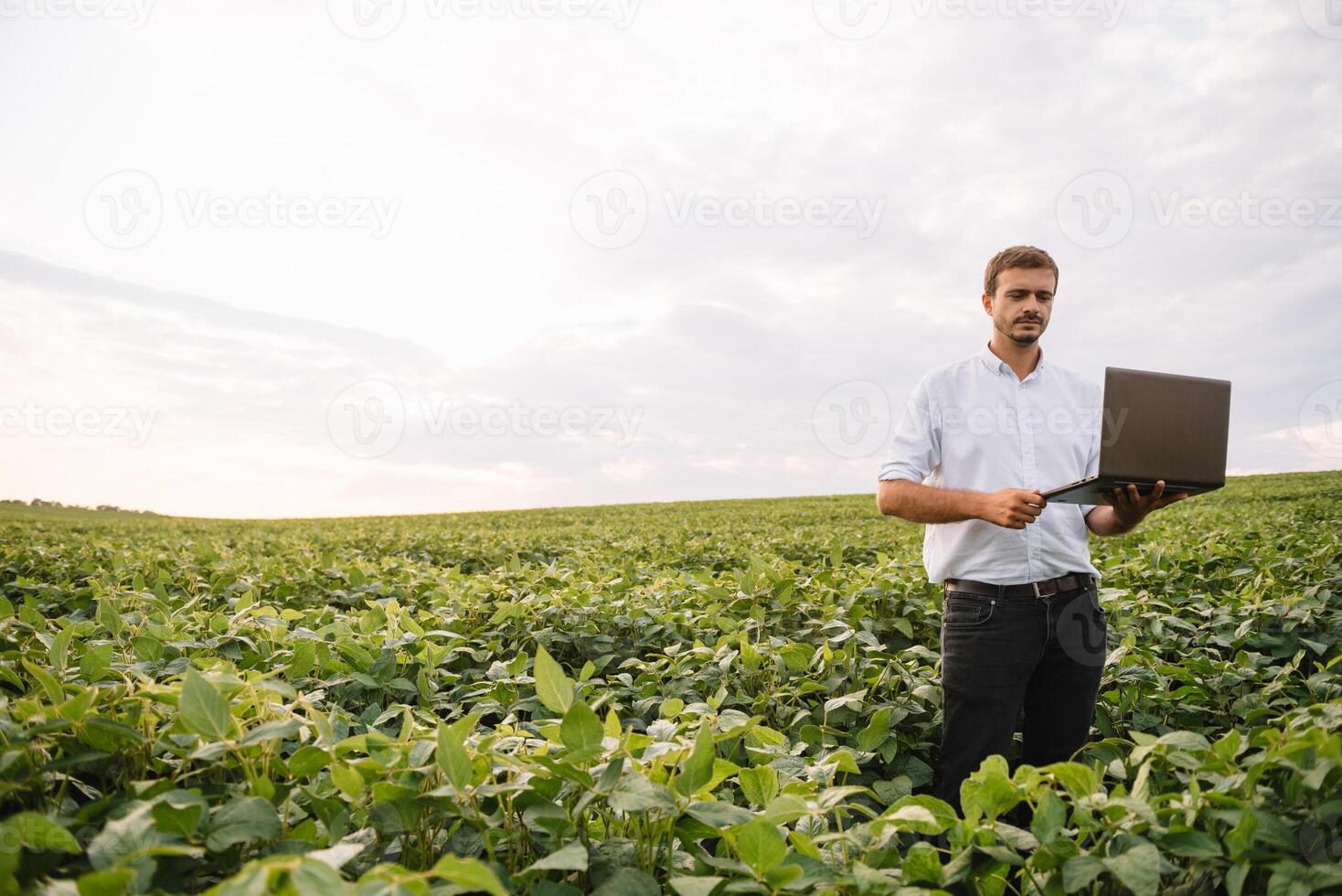 agrônomo inspecionando soja feijão cultivo crescendo dentro a Fazenda campo. agricultura Produção conceito. agronegócio conceito. agrícola engenheiro em pé dentro uma soja campo foto