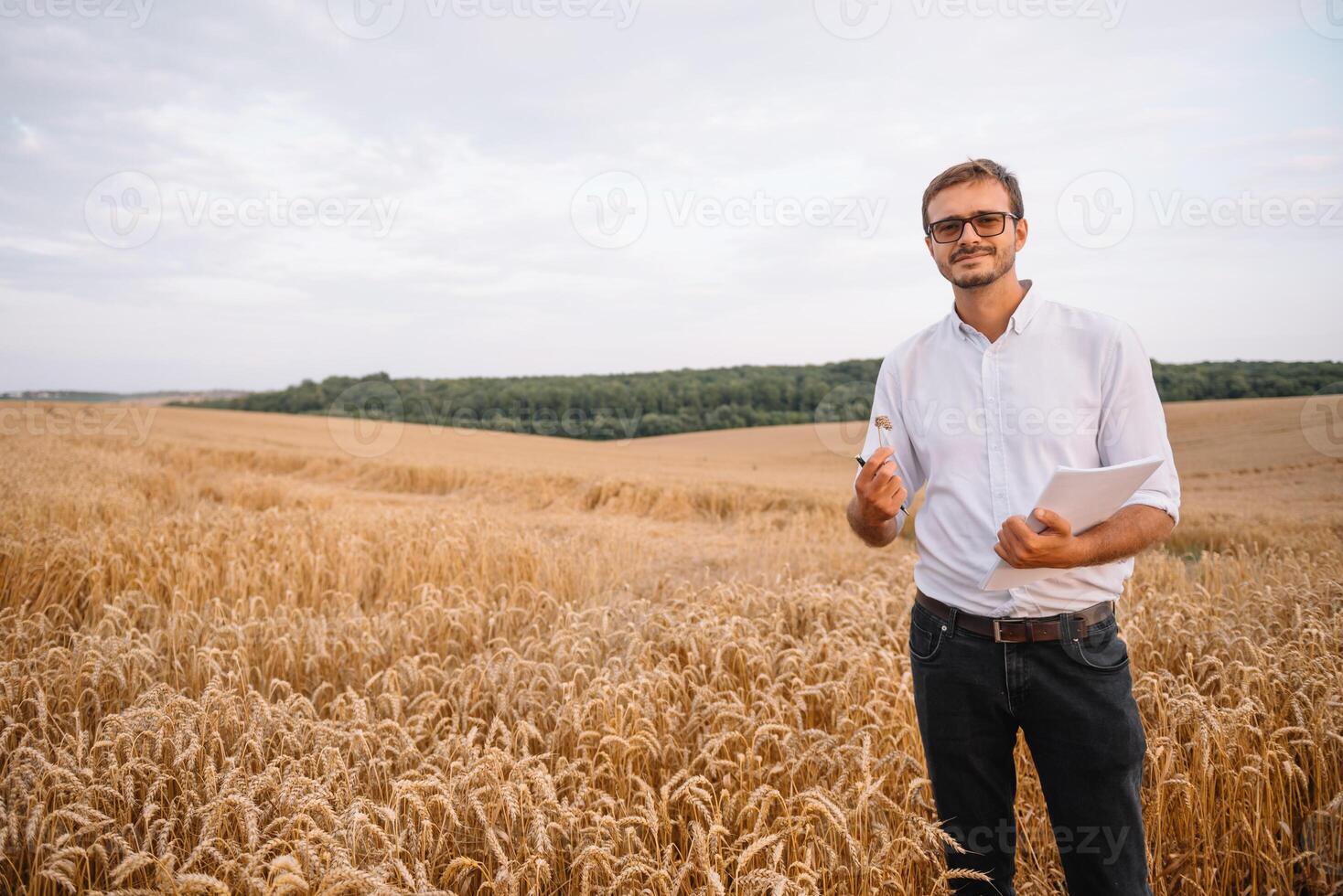 jovem agricultor engenheiro em pé em trigo campo foto