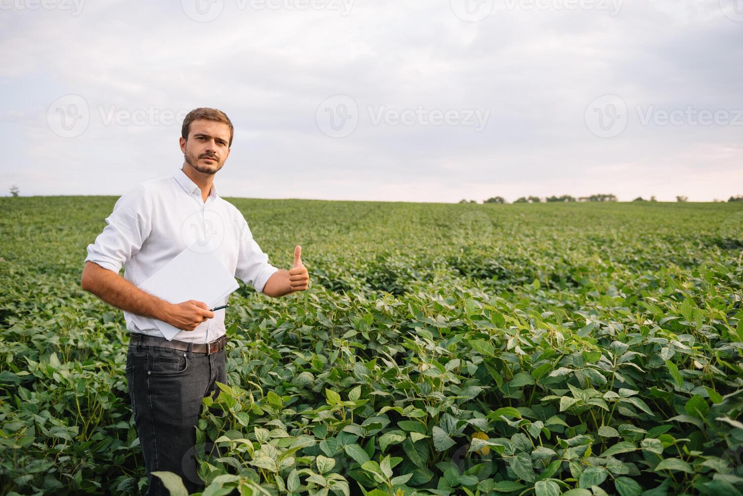 retrato do jovem agricultor em pé dentro soja campo. foto