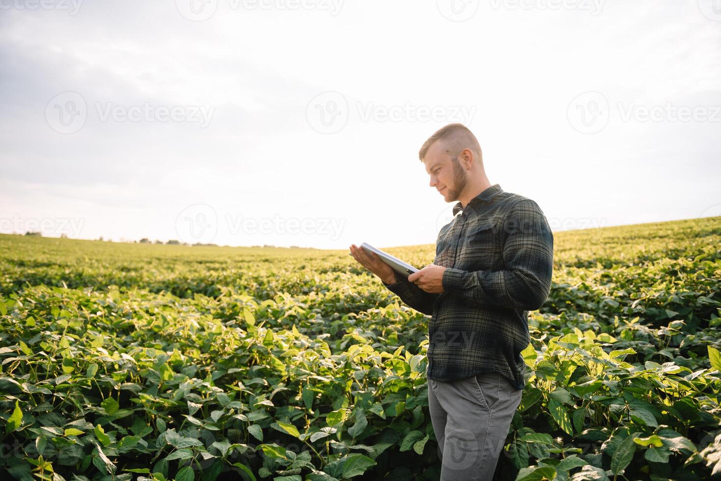 agrônomo inspecionando soja feijão cultivo crescendo dentro a Fazenda campo. agricultura Produção conceito. agronegócio conceito. agrícola engenheiro em pé dentro uma soja campo foto