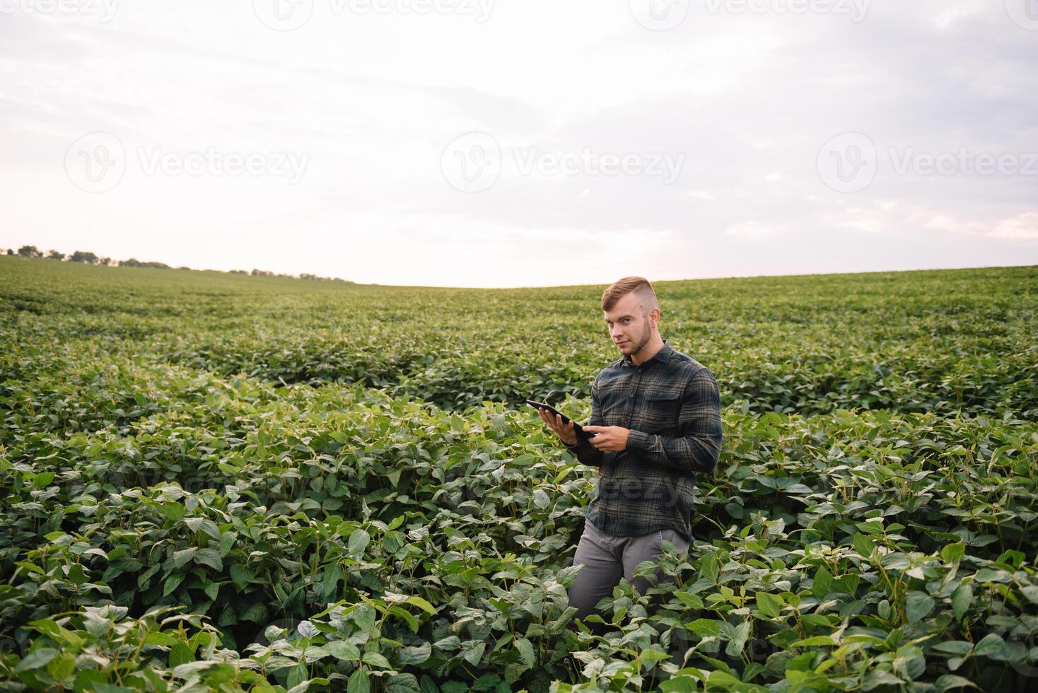 agrônomo inspecionando soja feijão cultivo crescendo dentro a Fazenda campo. agricultura Produção conceito. agronegócio conceito. agrícola engenheiro em pé dentro uma soja campo foto