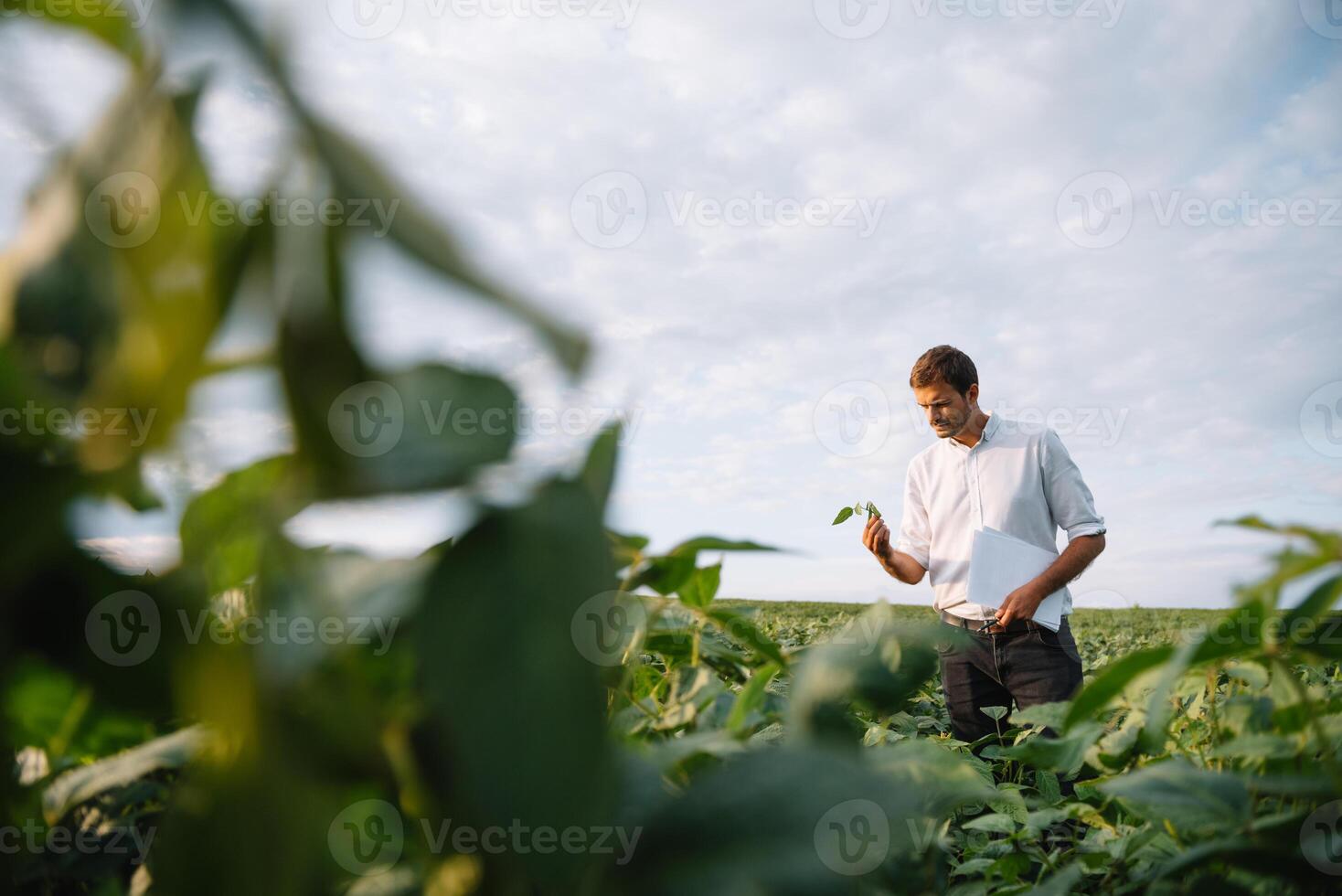 retrato do jovem agricultor em pé dentro soja campo foto