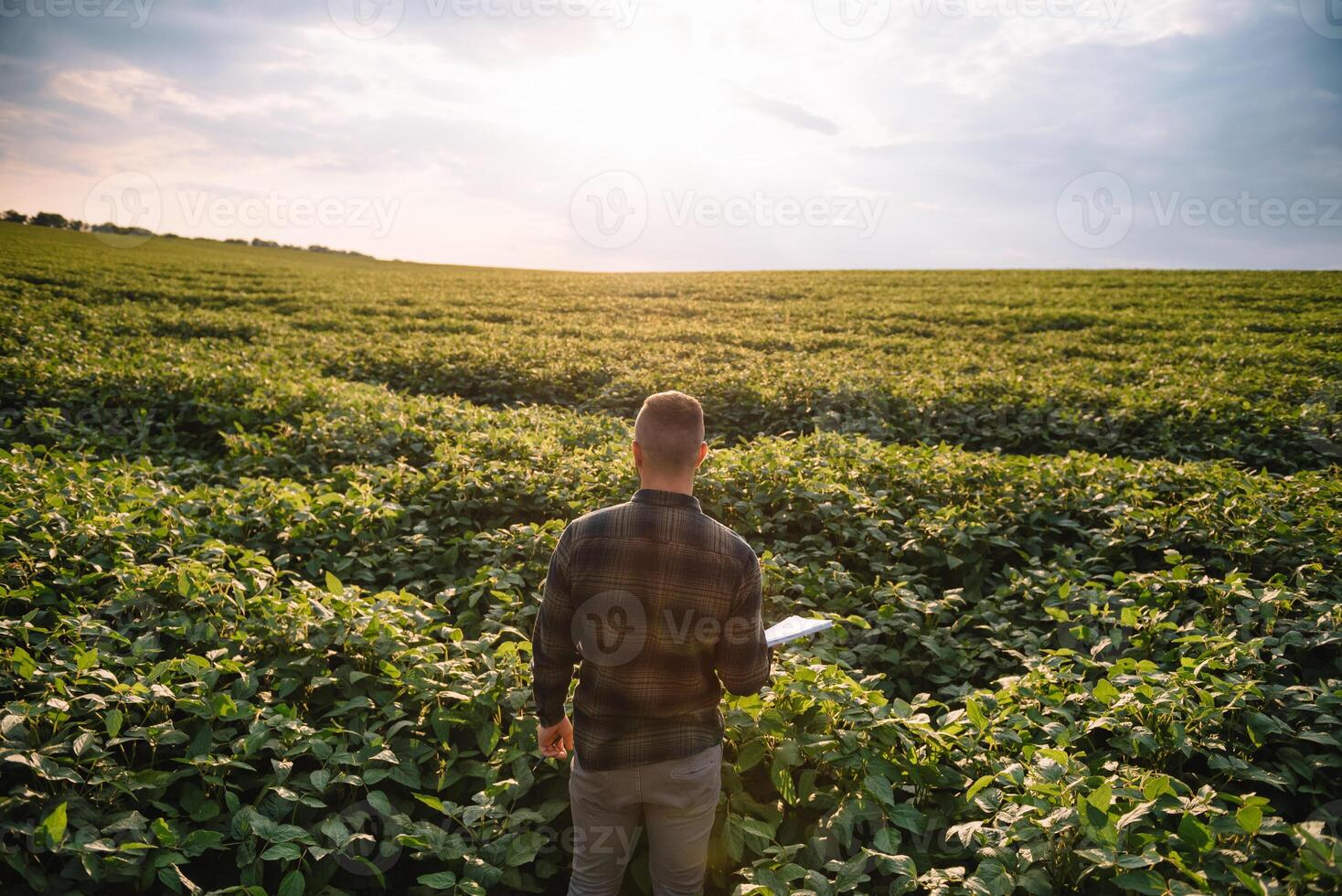 agrônomo inspecionando soja feijão cultivo crescendo dentro a Fazenda campo. agricultura Produção conceito. agronegócio conceito. agrícola engenheiro em pé dentro uma soja campo foto