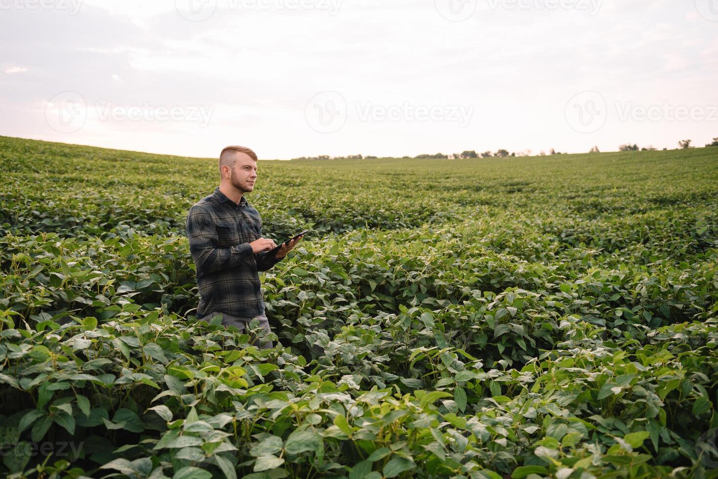 agrônomo inspecionando soja feijão cultivo crescendo dentro a Fazenda campo. agricultura Produção conceito. agronegócio conceito. agrícola engenheiro em pé dentro uma soja campo foto