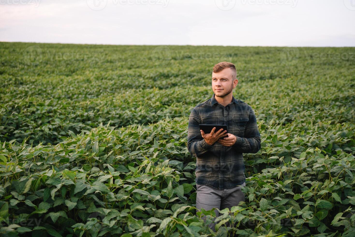 agrônomo inspecionando soja feijão cultivo crescendo dentro a Fazenda campo. agricultura Produção conceito. agronegócio conceito. agrícola engenheiro em pé dentro uma soja campo foto