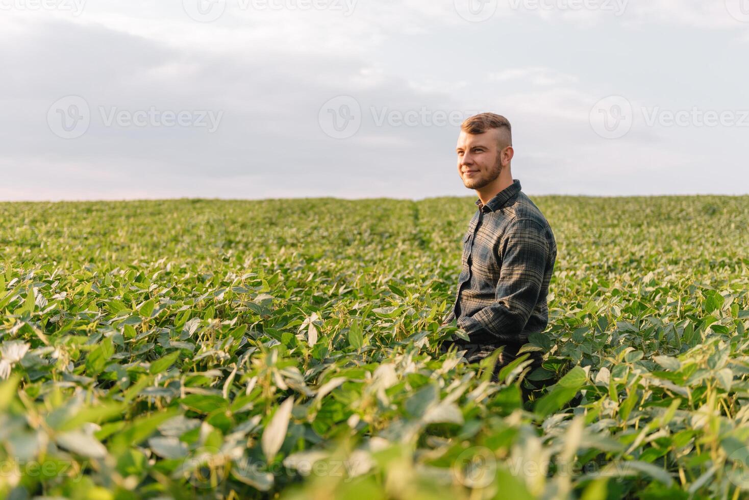 agrônomo inspecionando soja feijão cultivo crescendo dentro a Fazenda campo. agricultura Produção conceito. agronegócio conceito. agrícola engenheiro em pé dentro uma soja campo foto