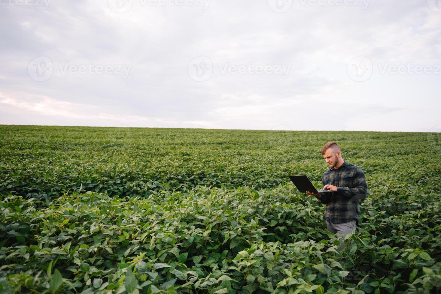 agrônomo inspecionando soja feijão cultivo crescendo dentro a Fazenda campo. agricultura Produção conceito. agronegócio conceito. agrícola engenheiro em pé dentro uma soja campo foto