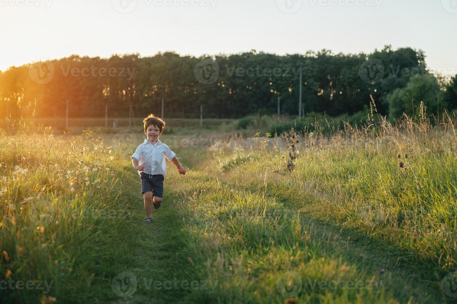 bonito Papai com dele pequeno fofa filho estão tendo Diversão e jogando em verde gramíneo grama. feliz família conceito. beleza natureza cena com família ao ar livre estilo de vida. família em repouso junto. pais dia foto