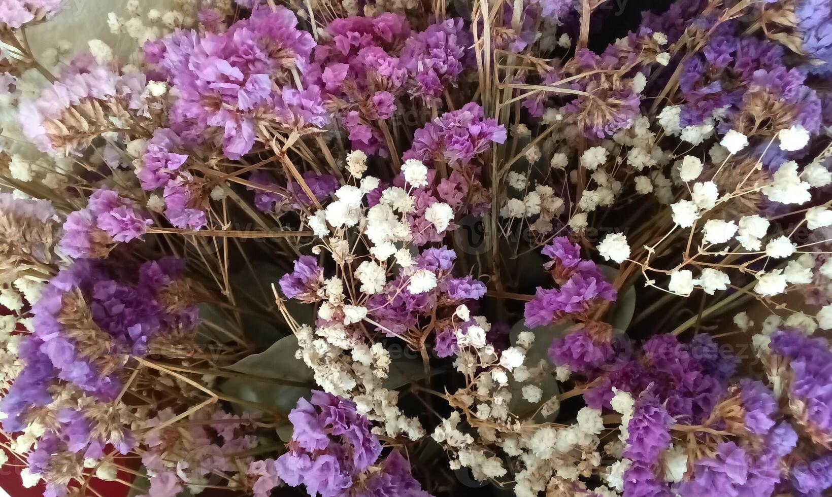 Gypsophila flor tolet e branco ramalhete foto