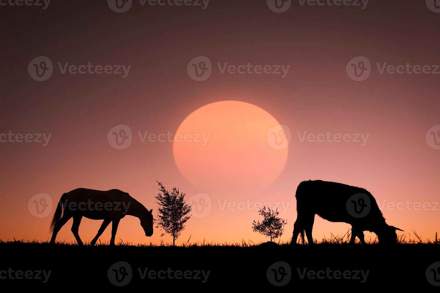 cavalo pastar dentro a Prado e pôr do sol fundo dentro horário de verão foto