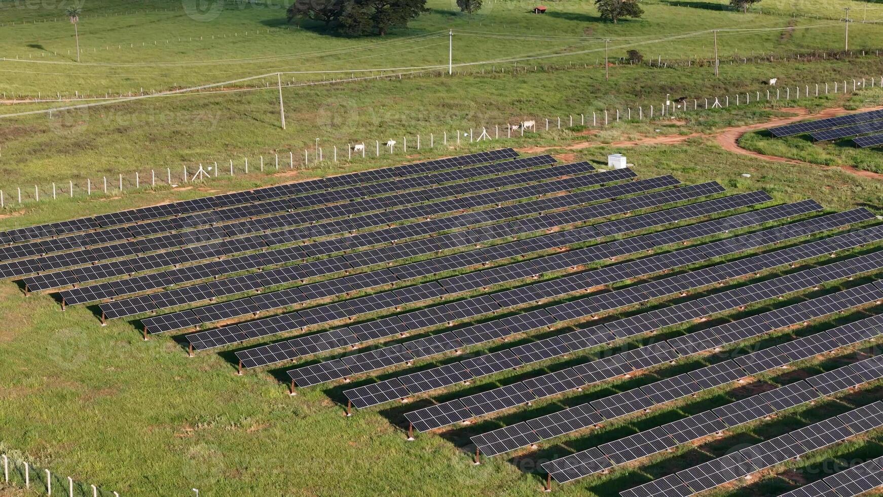 solar energia plantar dentro rural área foto