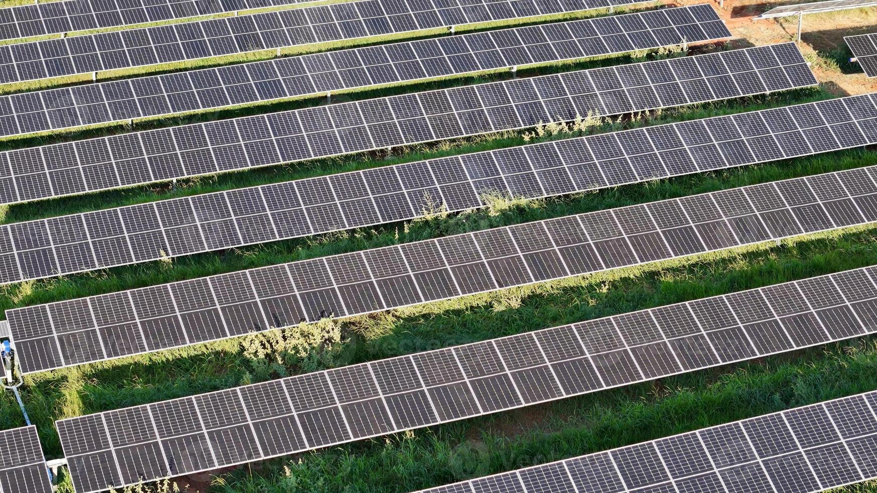 solar energia plantar dentro rural área foto