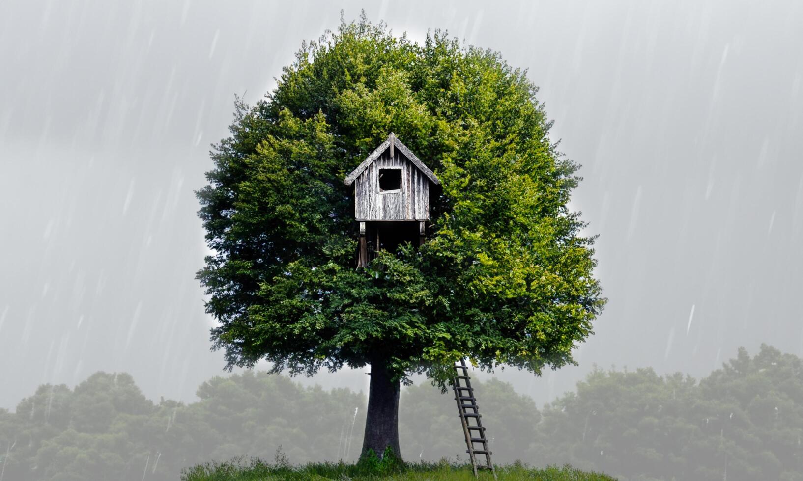 pequeno cabana em a árvore dentro a chuva foto