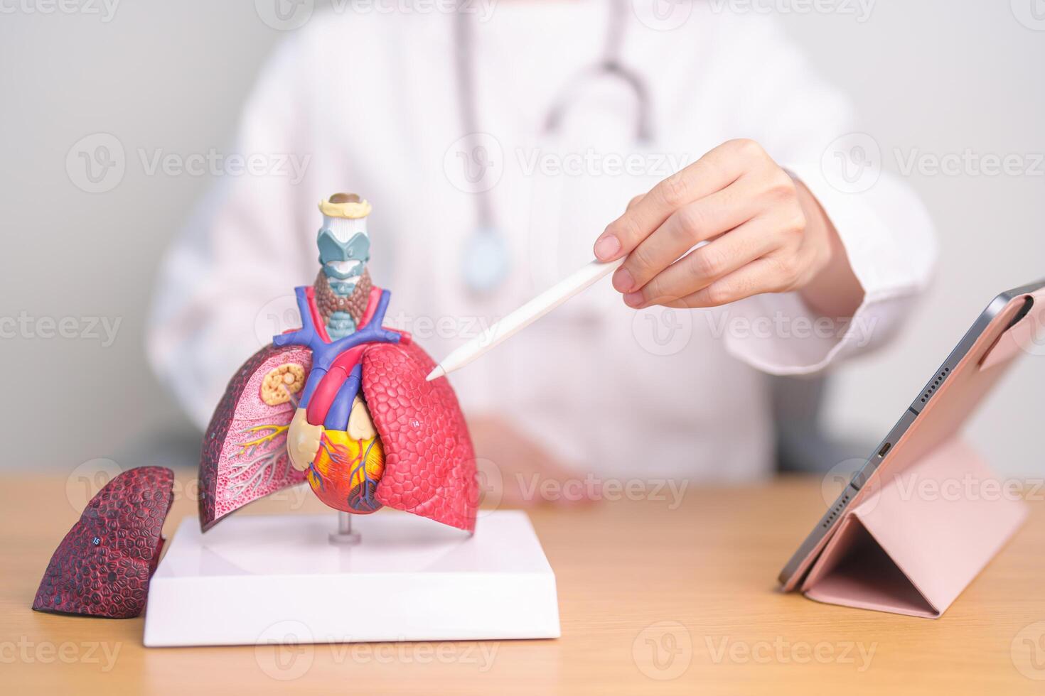 médico ponto pulmão anatomia para doença. pulmão Câncer, asma, crônica obstrutivo pulmonar ou copd, bronquite, enfisema, cístico fibrose, bronquiectasia, pneumonia e setembro mundo pulmão dia foto