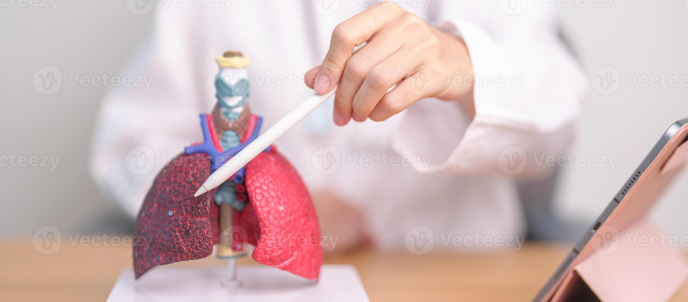 médico com fumante e normal pulmão anatomia para doença. pulmão Câncer, asma, crônica obstrutivo pulmonar ou copd, bronquite, enfisema, cístico fibrose, bronquiectasia, pneumonia e mundo pulmão dia foto