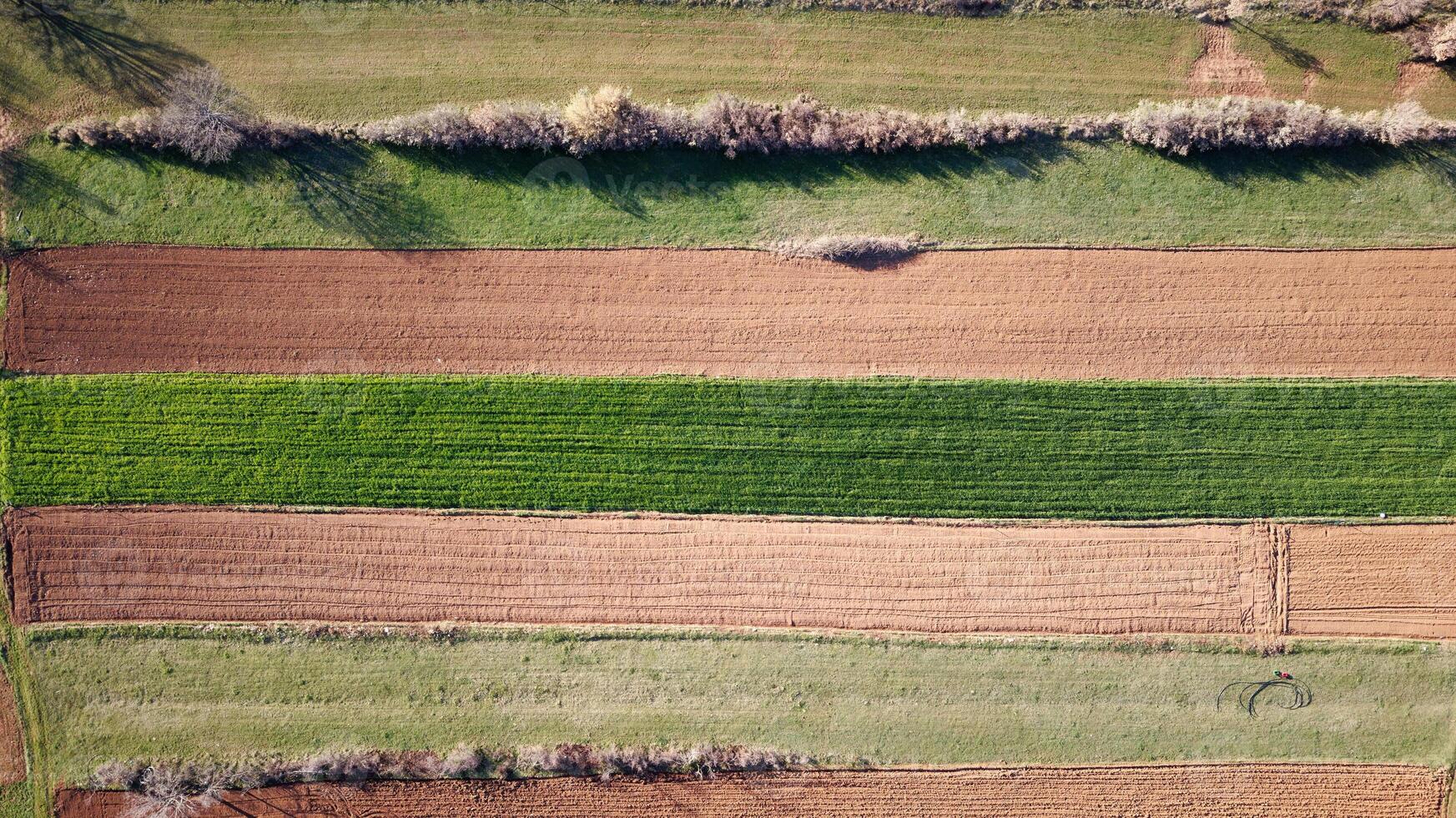 aéreo zangão Visão do agrícola Campos. cultivar cultivo e agricultura. foto