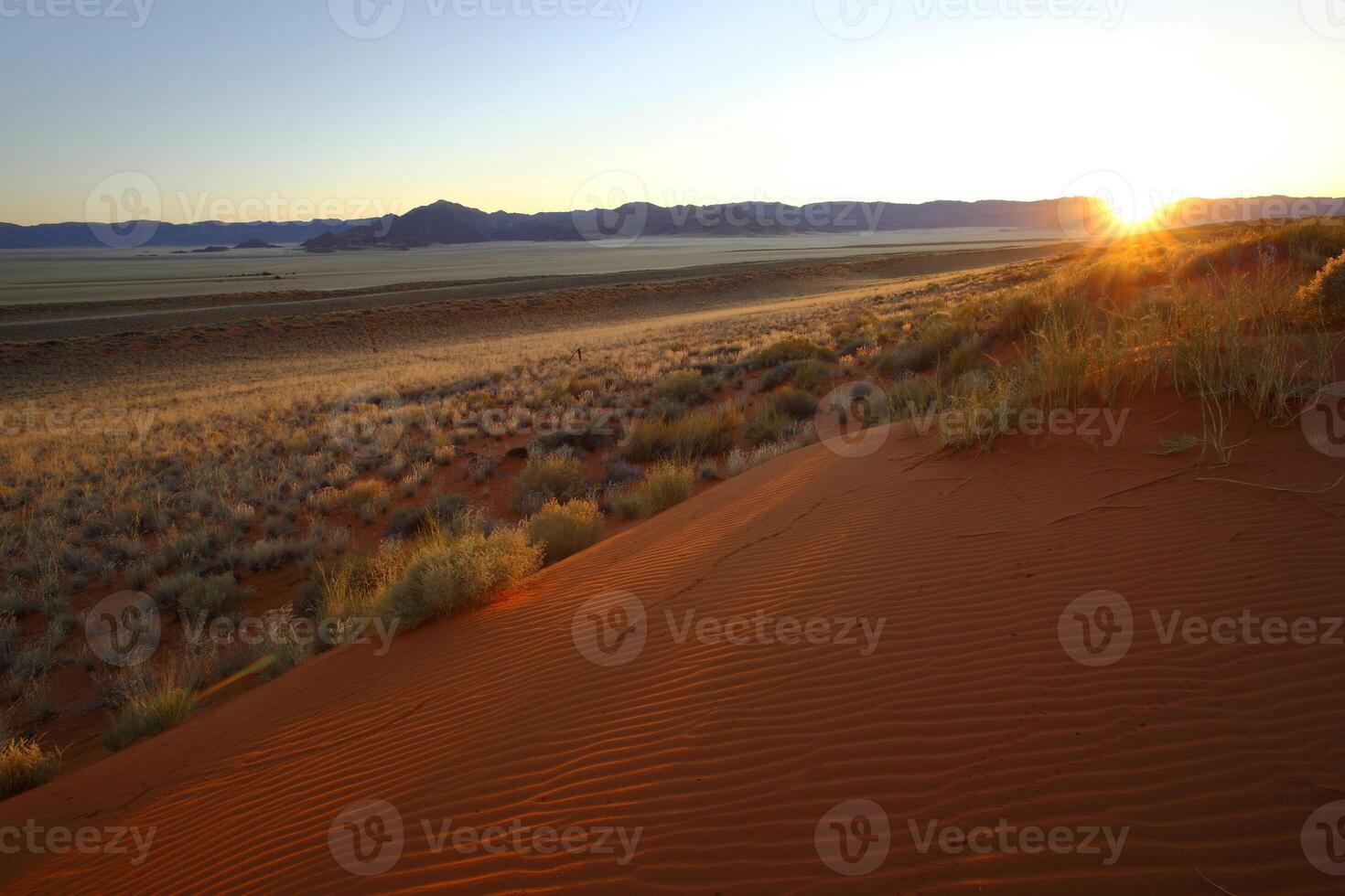 Kalahari nascer do sol dentro Namíbia foto