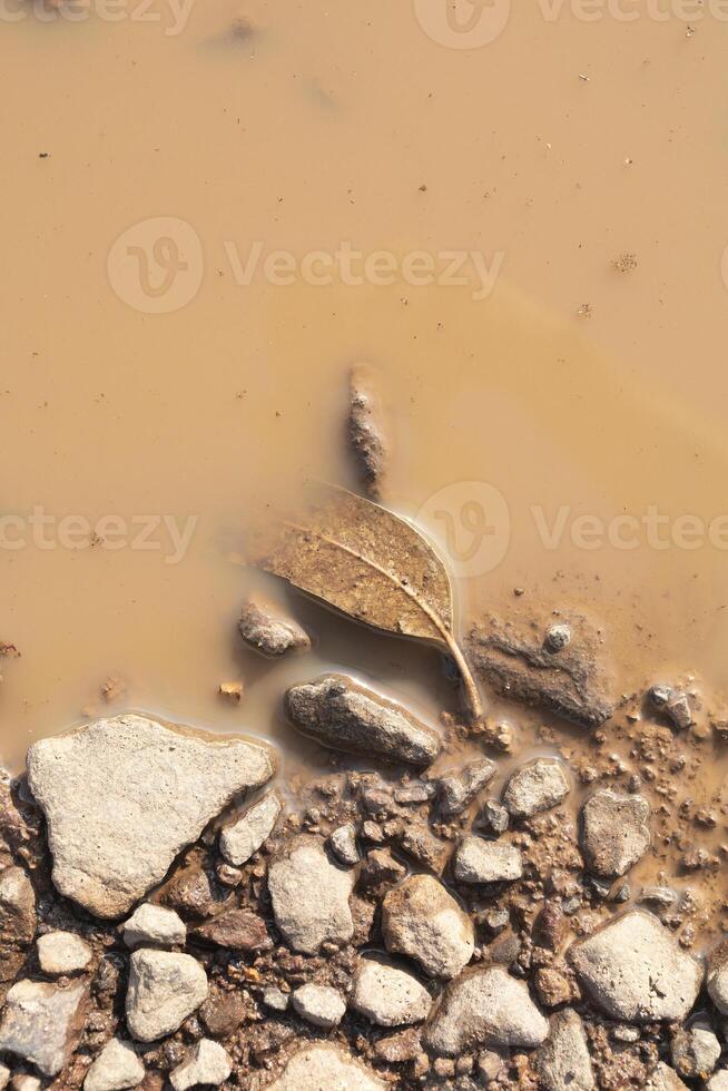 macro fotografia do poça do água em areia e pedra estrada foto