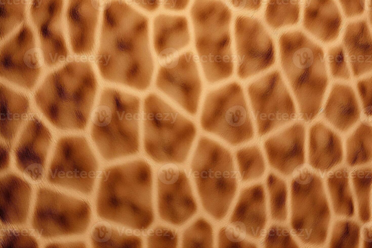 girafa pele textura, girafa pele fundo, girafa pele padrão, girafa pele digital papel, animal pele textura, girafa imprimir, animal impressão padrão, foto