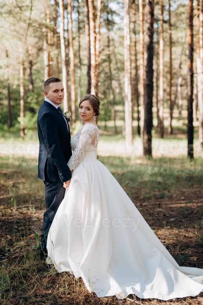 a noiva e o noivo estão caminhando em uma floresta de pinheiros foto