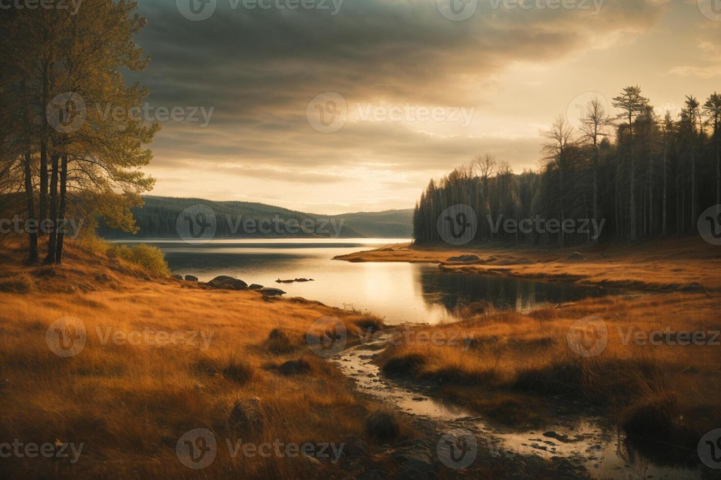 uma lago cercado de árvores e Relva foto