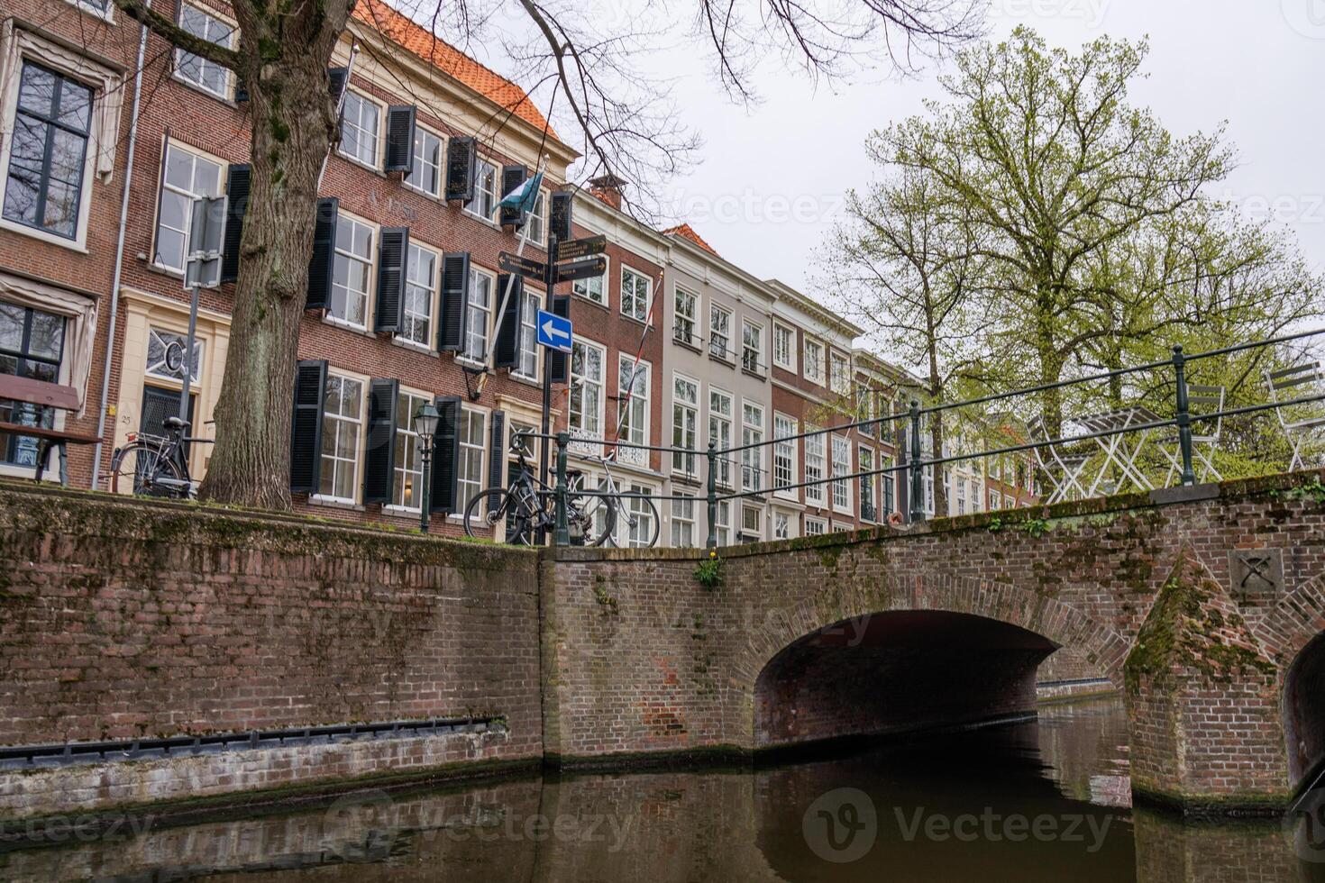 cova haag dentro a Países Baixos foto