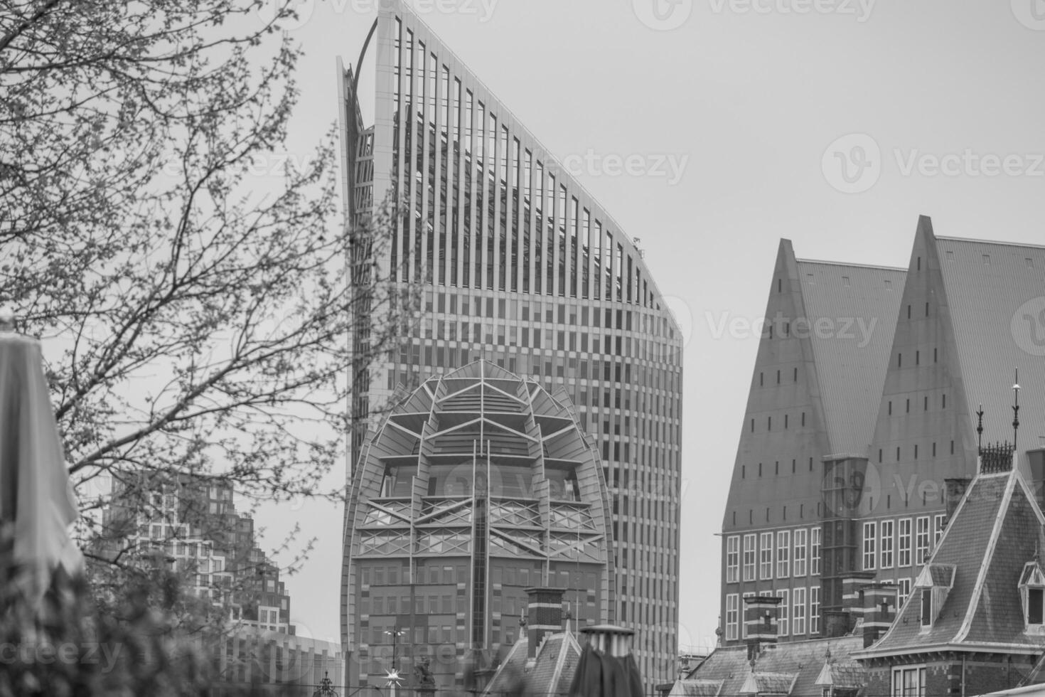 cova haag dentro a Países Baixos foto