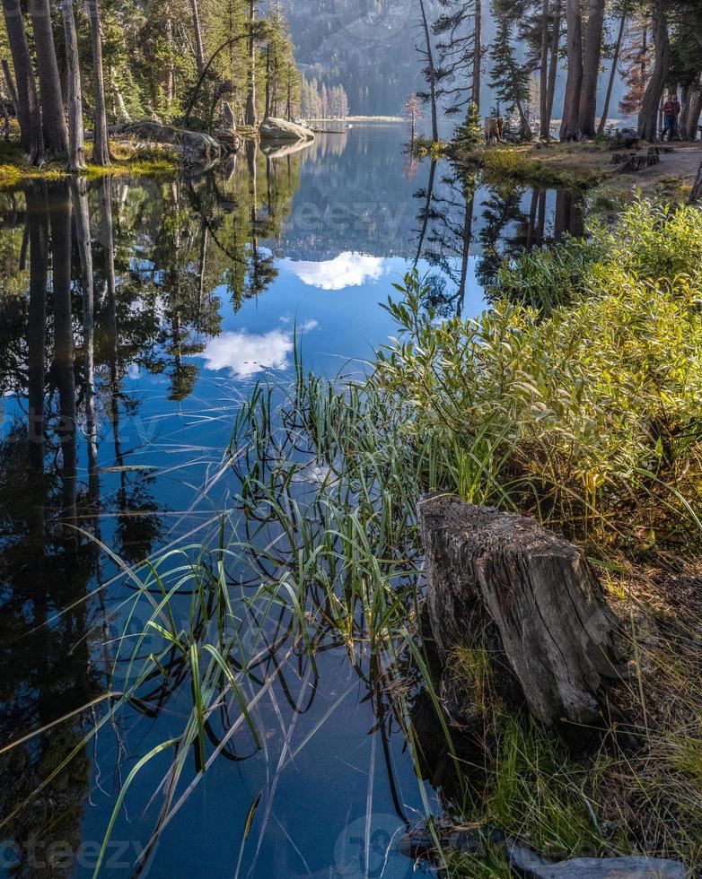 outlet of woods lake, carson pass, sierra nevadas foto