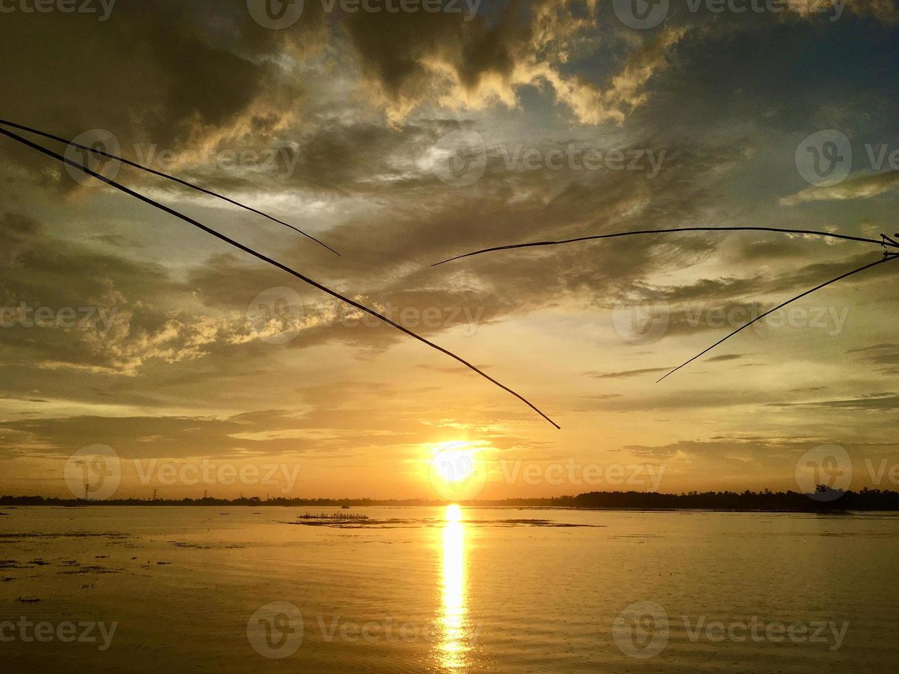 brilho noturno fotografia da natureza foto