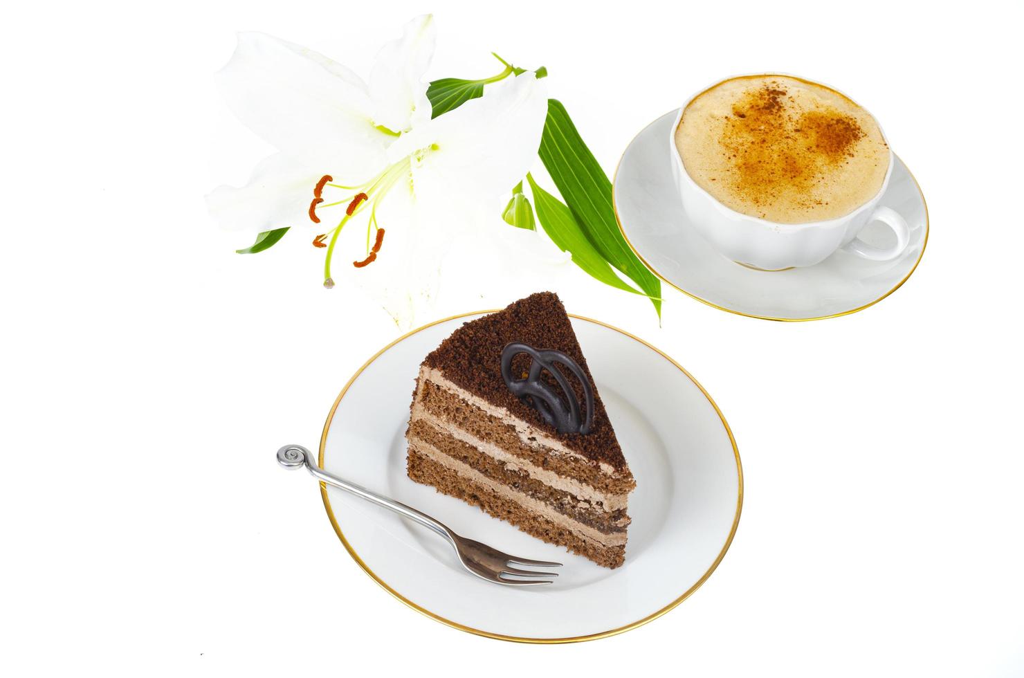prato com porção de delicioso bolo caseiro decorado com chocolate no fundo branco. foto de estúdio