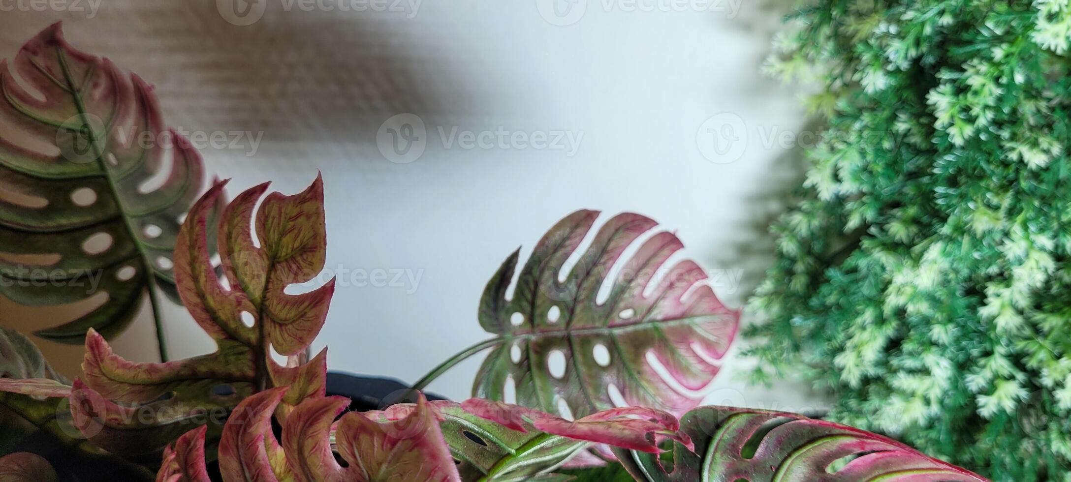 tropical plantar com verde folhas foto