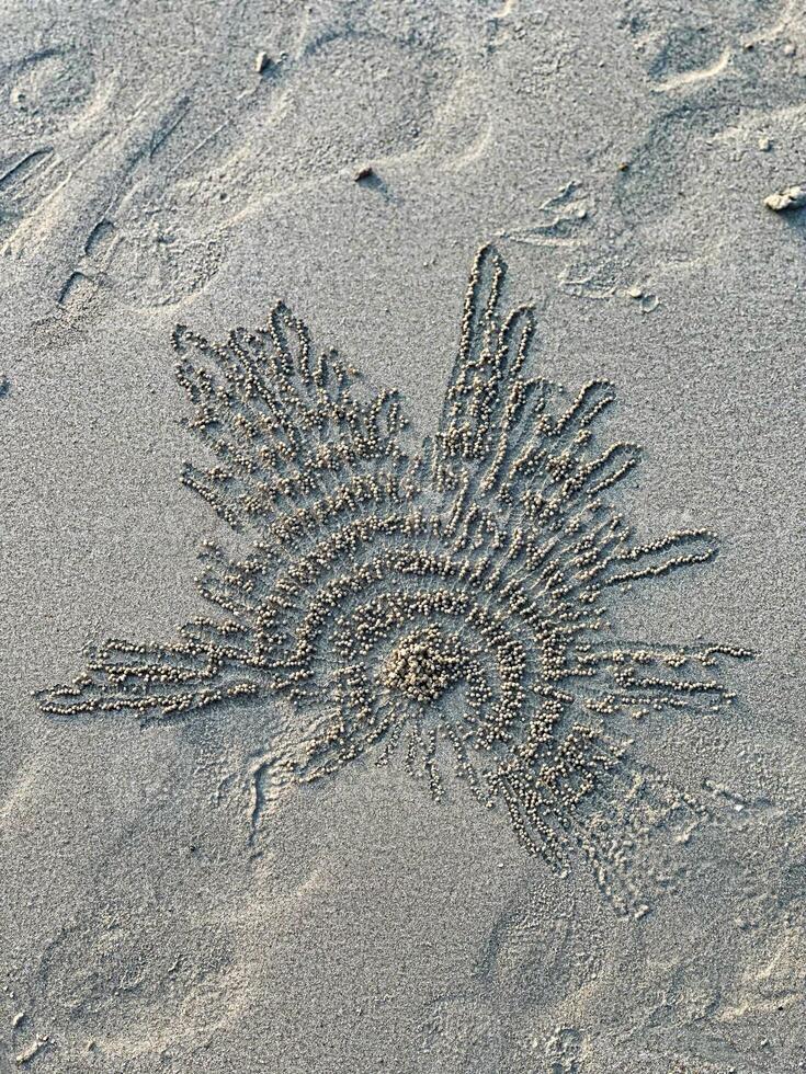 intrincado padrões formado de areia borbulhador caranguejos em uma praia, exibindo da natureza delicado arte e textura foto