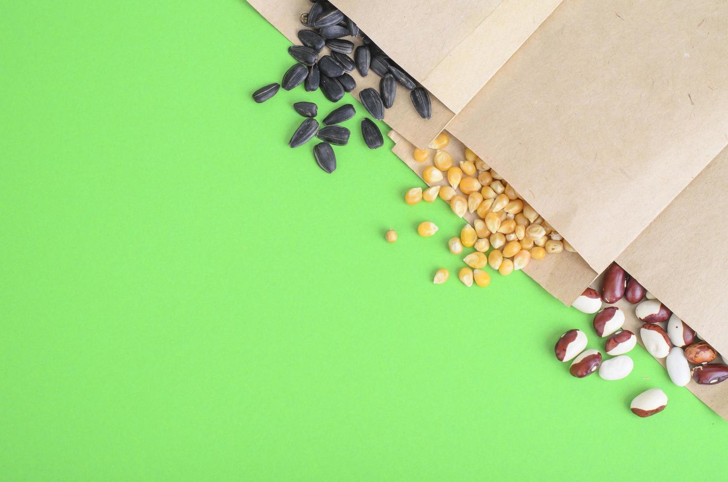 sementes de vegetais em sacos de papel kraft em fundo brilhante foto