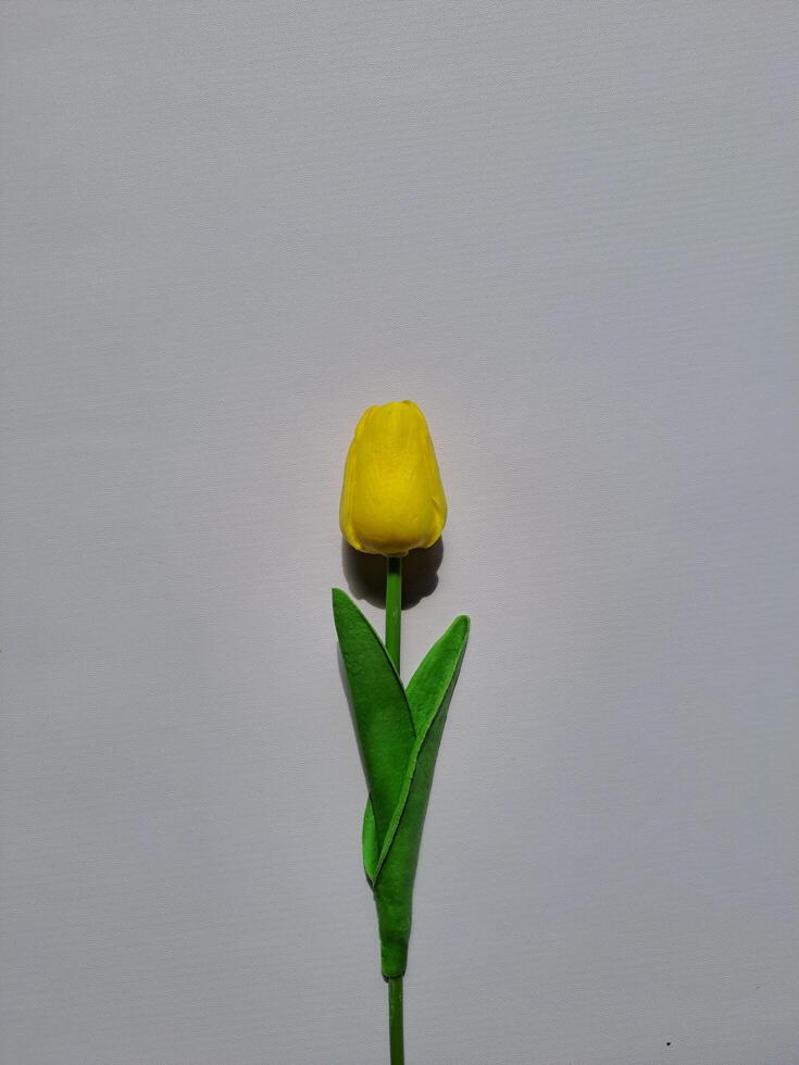uma amarelo flor foto