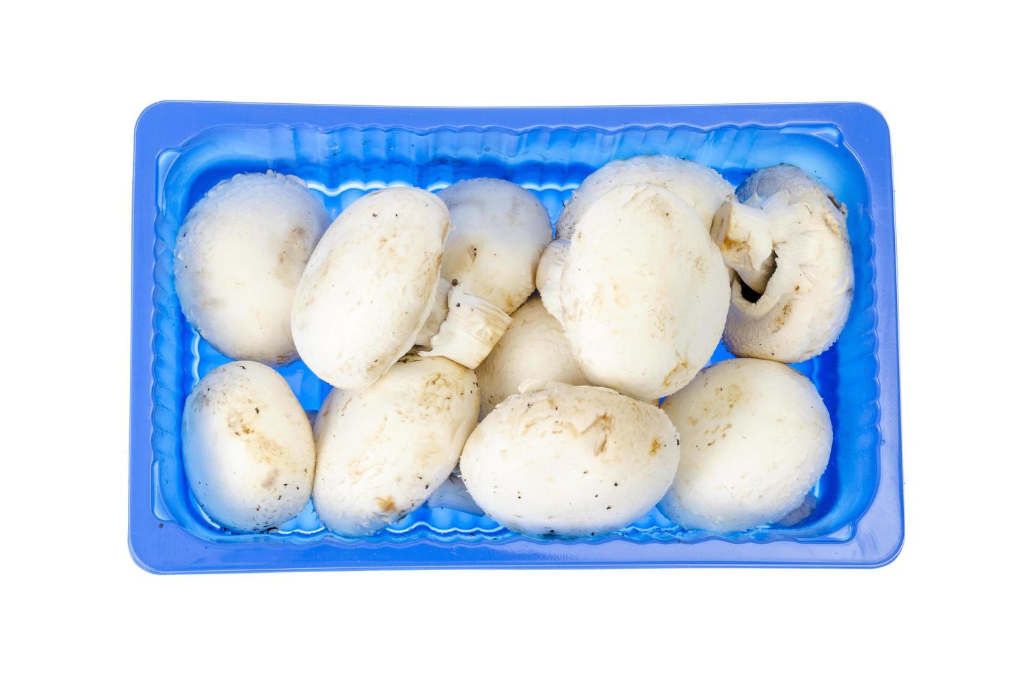 caixa de plástico azul com champignon fresco isolado no branco. foto