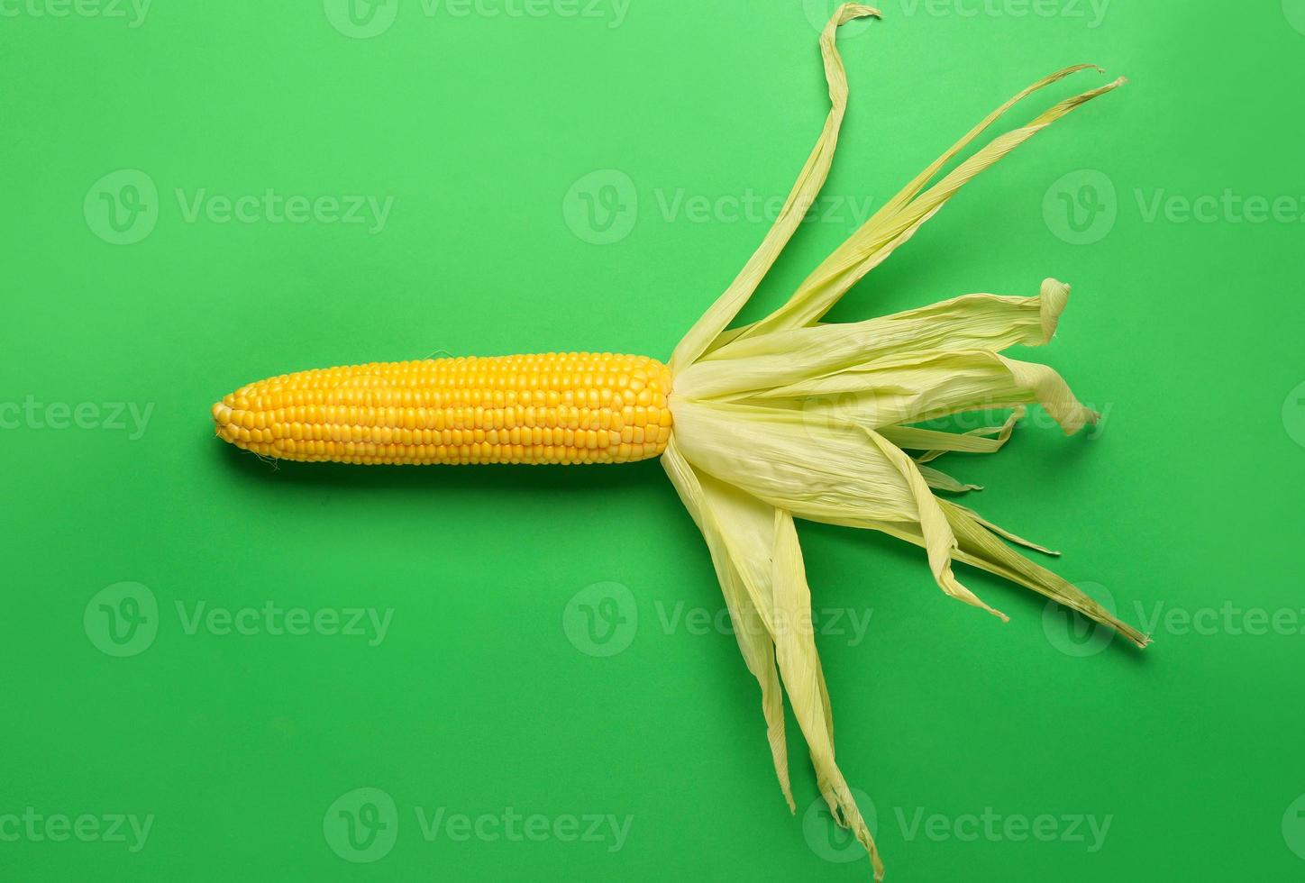 espiga de milho fresca na cor de fundo foto