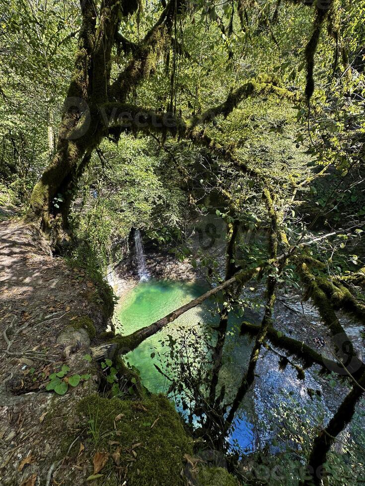 tranquilo cascata e Claro lagoa dentro uma exuberante verde floresta com luz solar filtrando através folhas foto