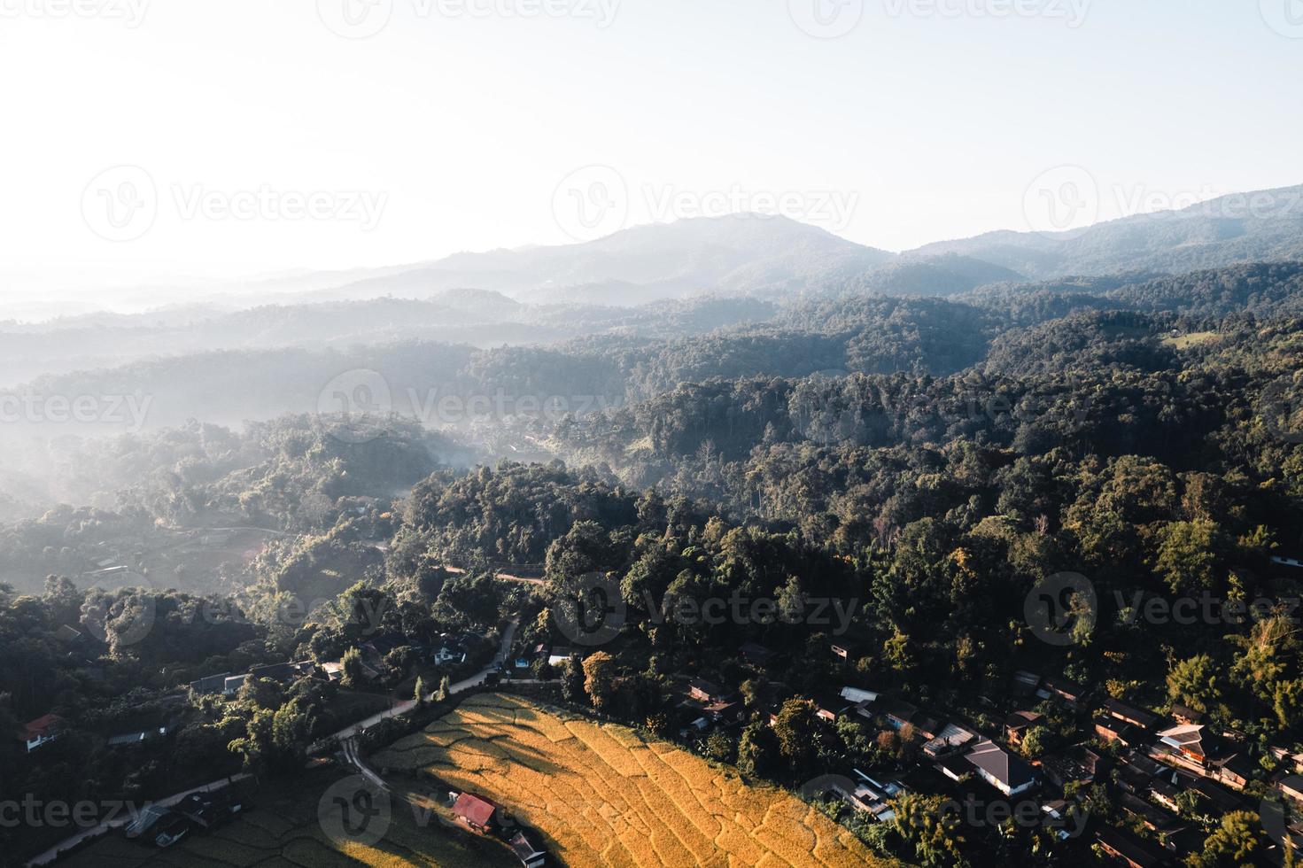 vista aérea do campo de arroz dourado pela manhã foto