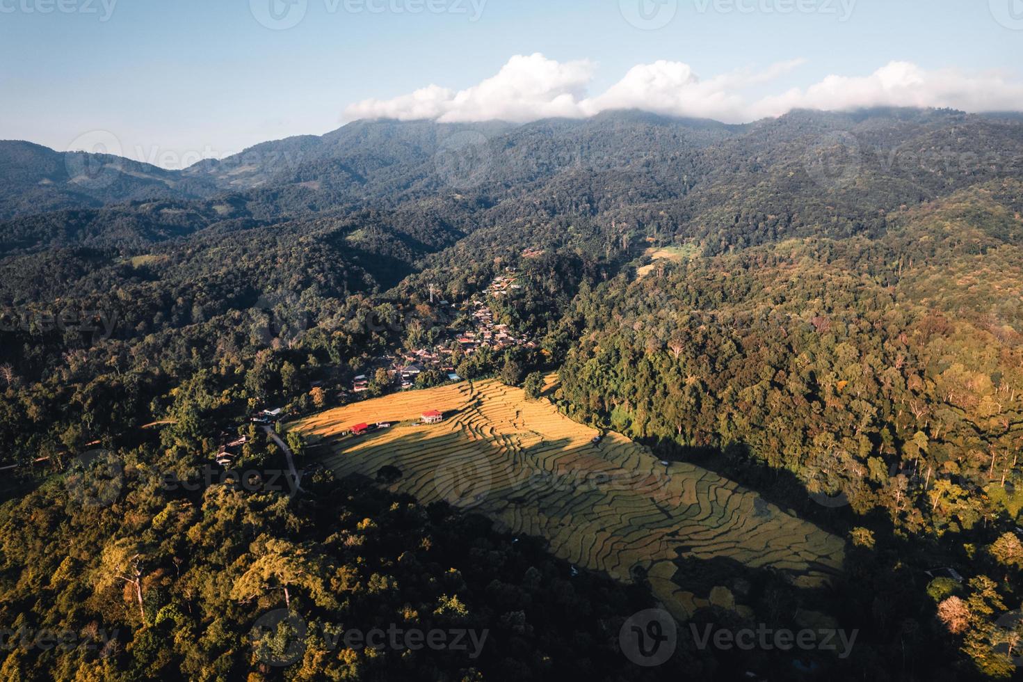 vista aérea do campo de arroz dourado pela manhã foto