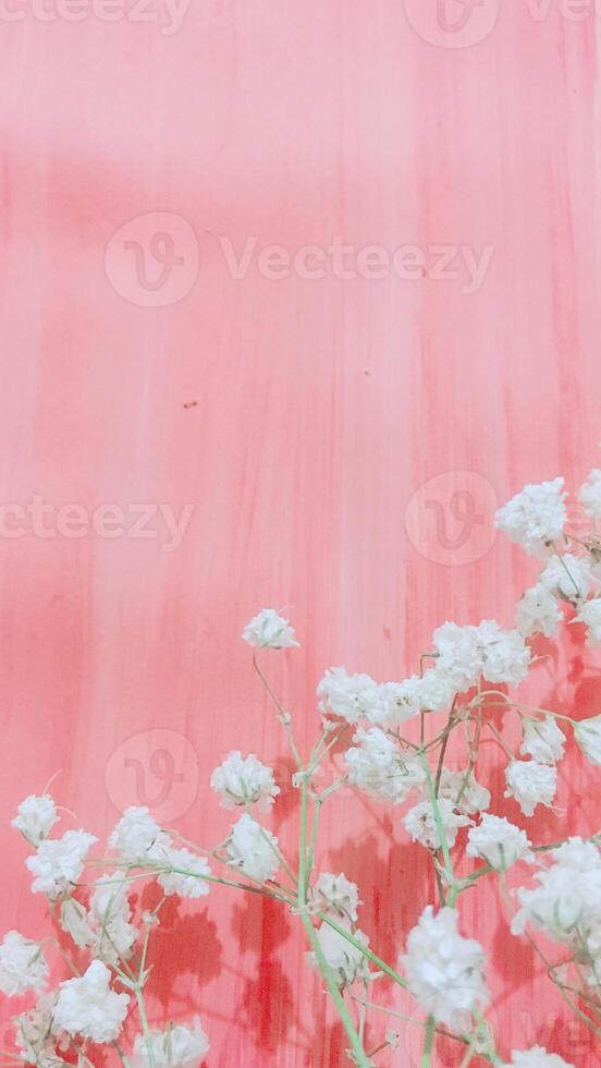 Rosa fundo textura simples padronizar - 65 foto