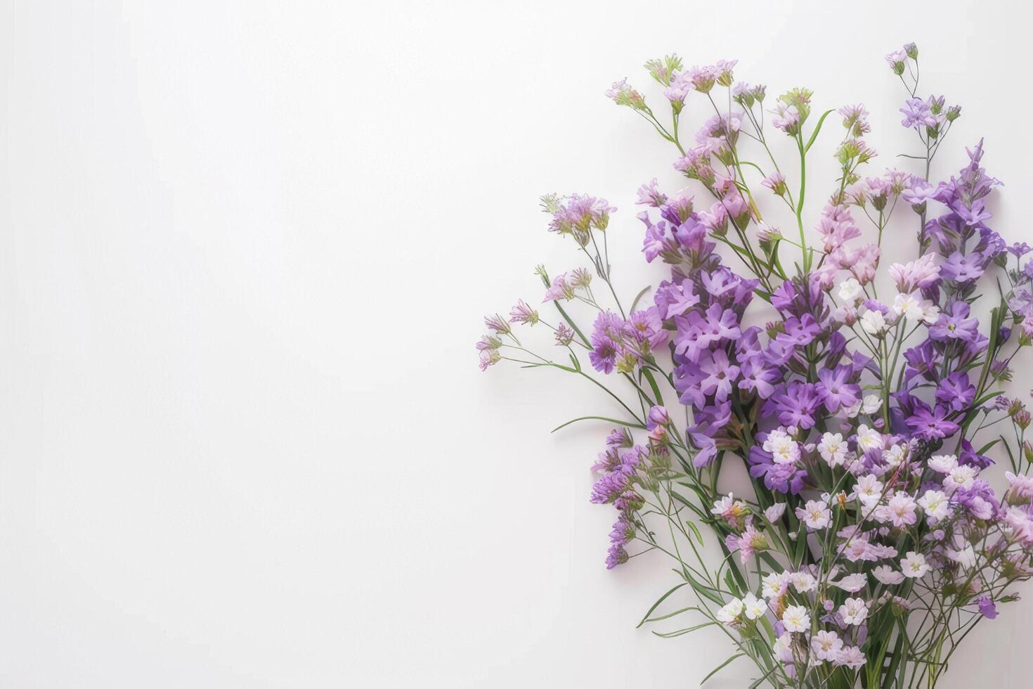 belas arranjado statice e Caspia flores dentro uma vaso. em uma branco fundo foto