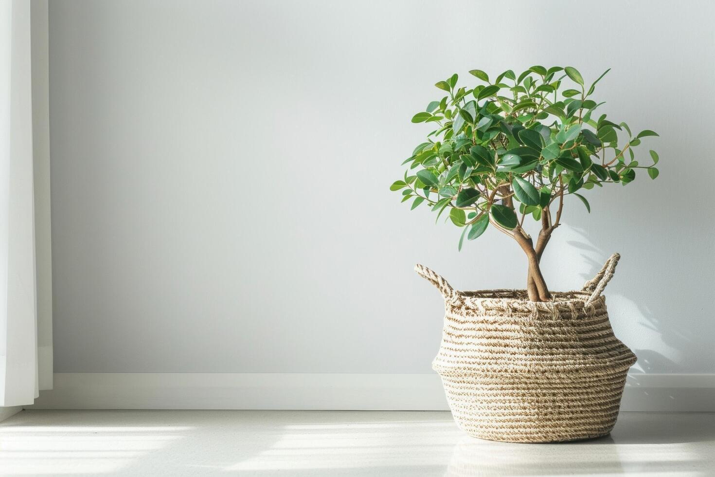 pequeno em vaso banyan árvore dentro uma tecido cesta foto