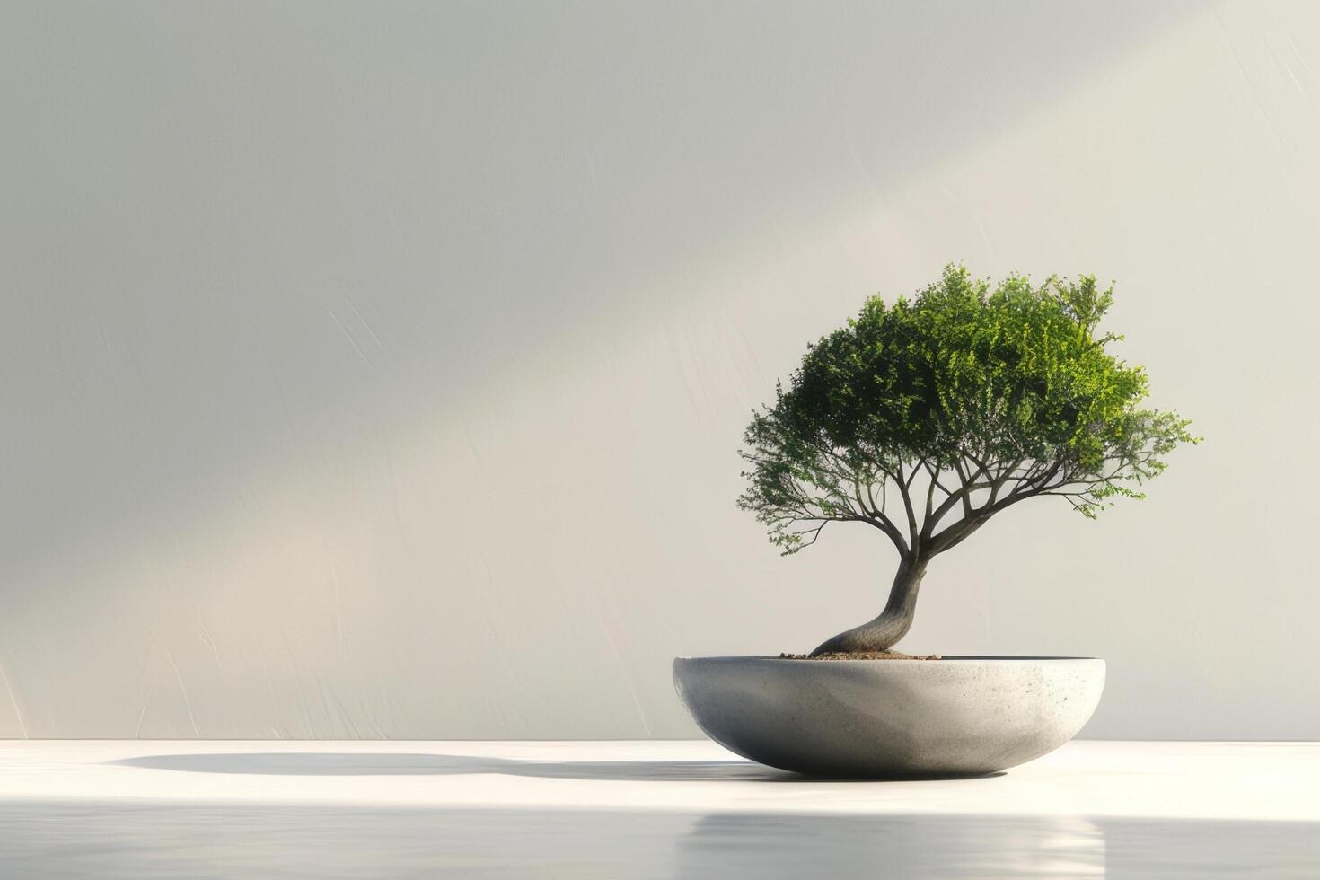 uma bonsai árvore plantado dentro uma organizado, minimalista Panela. foto