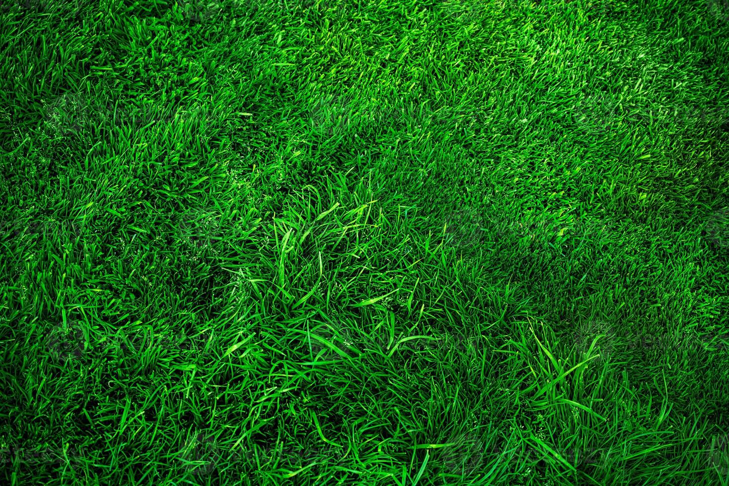 gramado Relva é mais tempo e mais curta verde Como uma fundo. gramado luz e sombra. foto