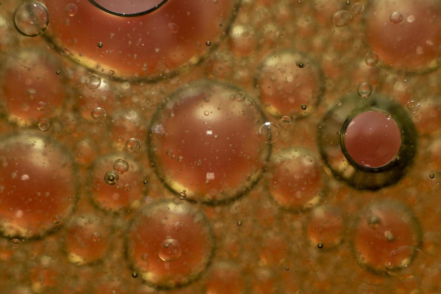 gotas de azeite isoladas no vermelho foto